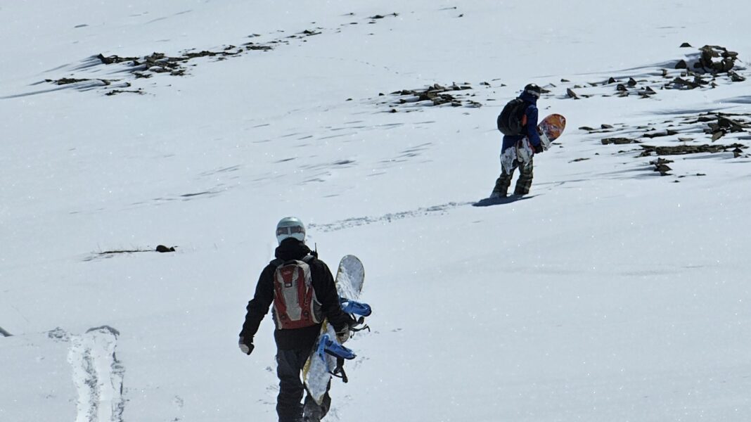 skinning