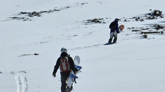 skinning